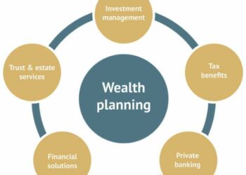 Creating Tailored Wealth Management Solutions for High-Net-Worth ...