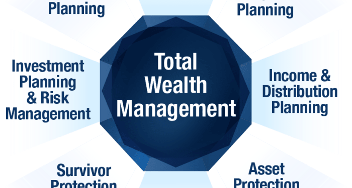 Sample Wealth Management Plan at Richard Ranck blog